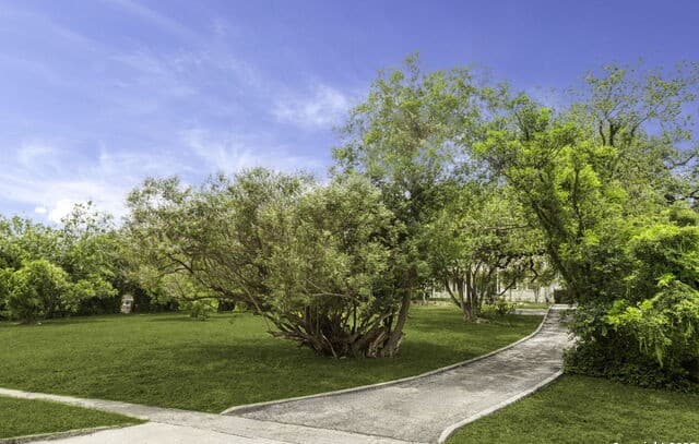 3-bedroom rental at 527 Kings Ct in San Antonio, TX — photo 3