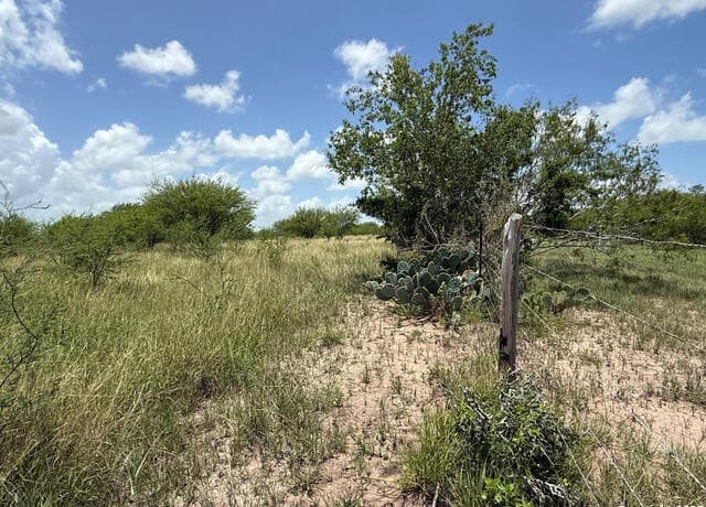 rental at TBD 10+/- ACRES Cr 158 in Kenedy, TX — photo 1