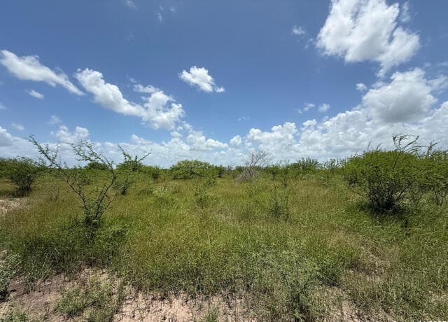 rental at TBD 10+/- ACRES Cr 158 in Kenedy, TX — photo 4