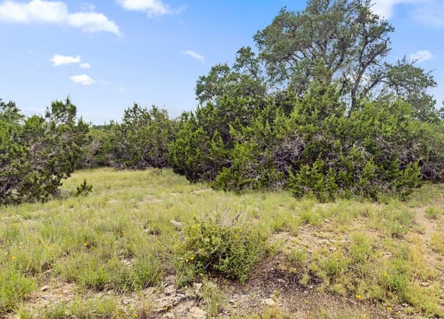 rental at 141 Vista View Place in Spring Branch, TX — photo 3