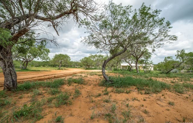 rental at 1062 County Road 122 Lot 4 in Floresville, TX — photo 4