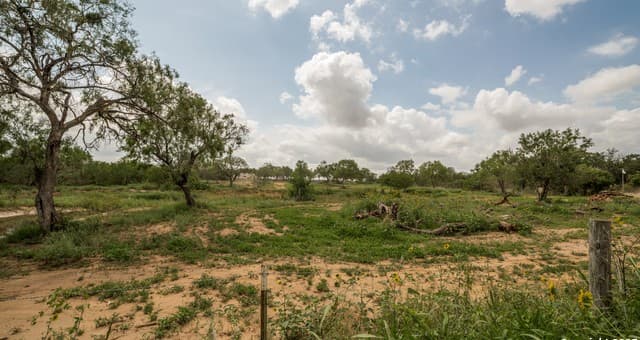 rental at 1062 County Road 122 Lot 4 in Floresville, TX — photo 5