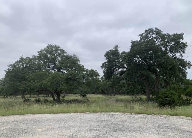 rental at 191 Indian Blanket in Spring Branch, TX — photo 1