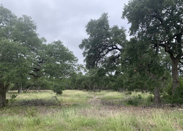 rental at 191 Indian Blanket in Spring Branch, TX — photo 3