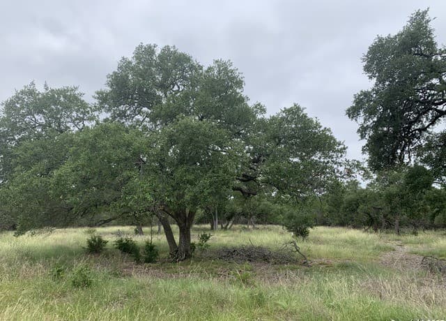 rental at 191 Indian Blanket in Spring Branch, TX — photo 4