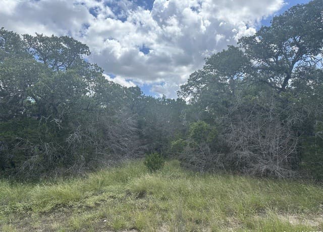 rental at 275 Serenity Pass in Spring Branch, TX — photo 1