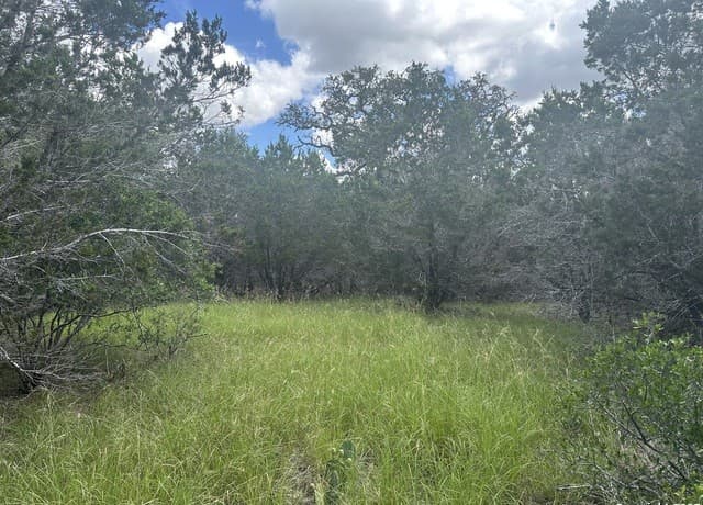 rental at 275 Serenity Pass in Spring Branch, TX — photo 4