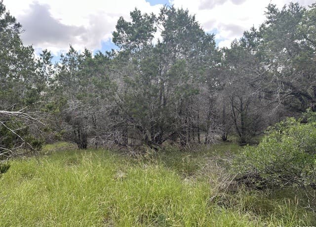 rental at 275 Serenity Pass in Spring Branch, TX — photo 5