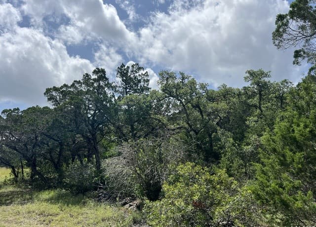 Home for sale at 19031 Bandera Rd in Helotes, TX — photo 2