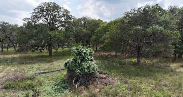 rental at 1228 Morning Glory Ln in Adkins, TX — photo 3