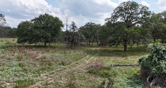 rental at 1228 Morning Glory Ln in Adkins, TX — photo 4