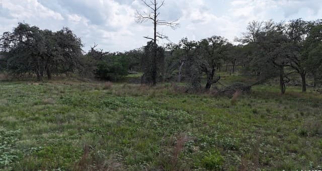 rental at 1228 Morning Glory Ln in Adkins, TX — photo 5