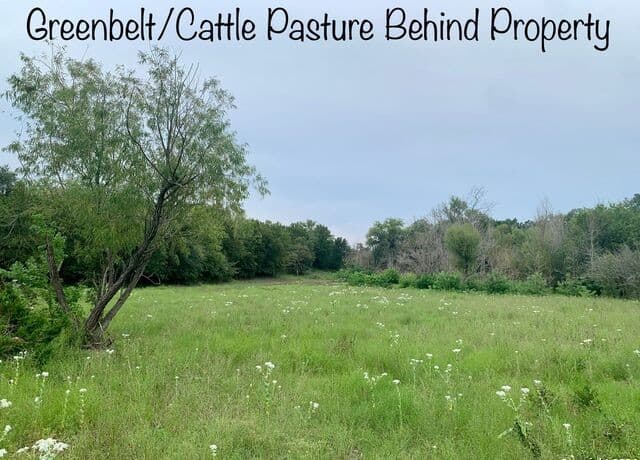 rental at 807 Stagecoach in Spring Branch, TX — photo 3
