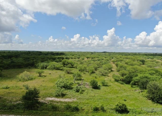 rental at TRACT 2 County Rd 207 in Hobson, TX — photo 1