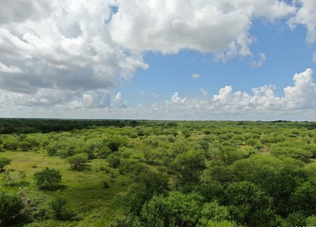 rental at TRACT 2 County Rd 207 in Hobson, TX — photo 2