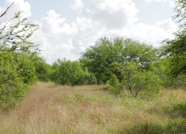 rental at TRACT 3 County Rd 207 in Hobson, TX — photo 5