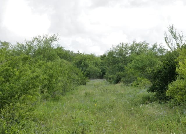 rental at TRACT 4 County Rd 208 in Hobson, TX — photo 5