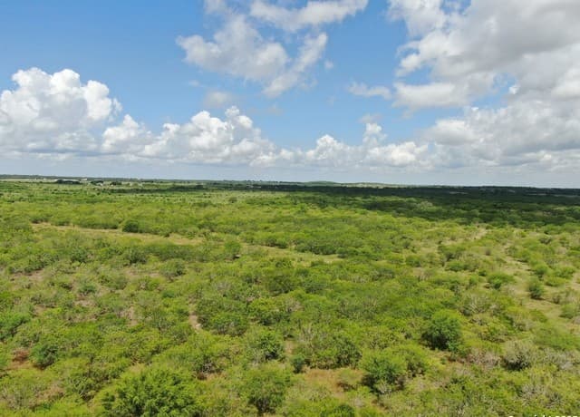 rental at TRACT 5 County Rd 208 in Hobson, TX — photo 3