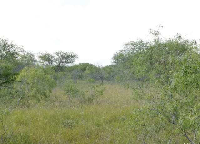 rental at TRACT 5 County Rd 208 in Hobson, TX — photo 4