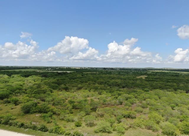 rental at TRACT 6 County Rd 208 in Hobson, TX — photo 1