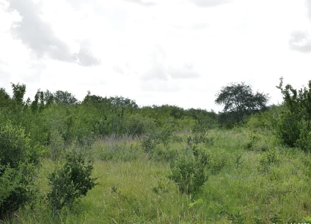 rental at TRACT 6 County Rd 208 in Hobson, TX — photo 4