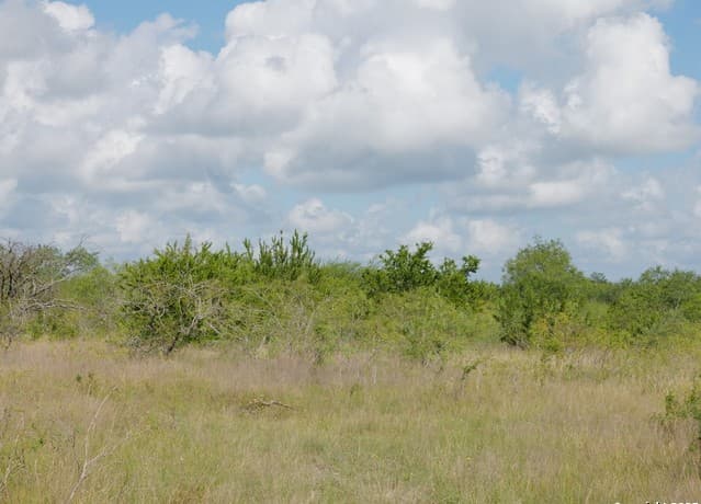 rental at TRACT 6 County Rd 208 in Hobson, TX — photo 5