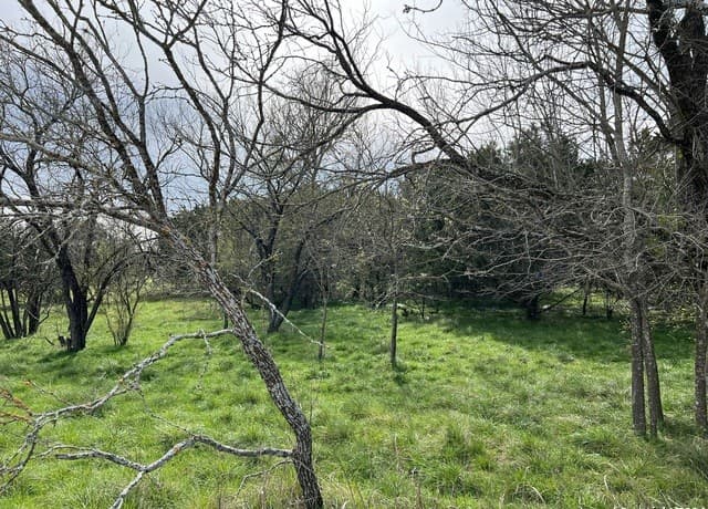 rental at LOT 78 Lake Medina Shores in Bandera, TX — photo 5