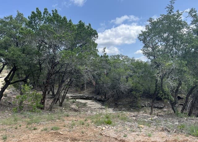 rental at 245 Sydney Springs in Helotes, TX — photo 3