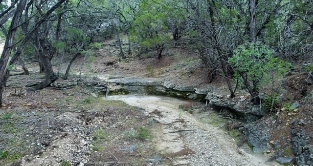 rental at 245 Sydney Springs in Helotes, TX — photo 4