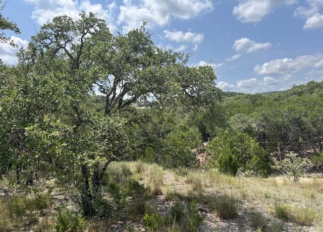 rental at 245 Sydney Springs in Helotes, TX — photo 5