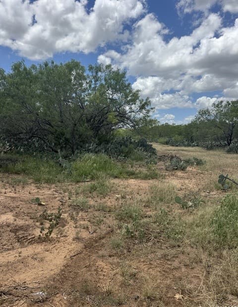 rental at 07 Windmill Ranchettes CR 329 in Jourdanton, TX — photo 4
