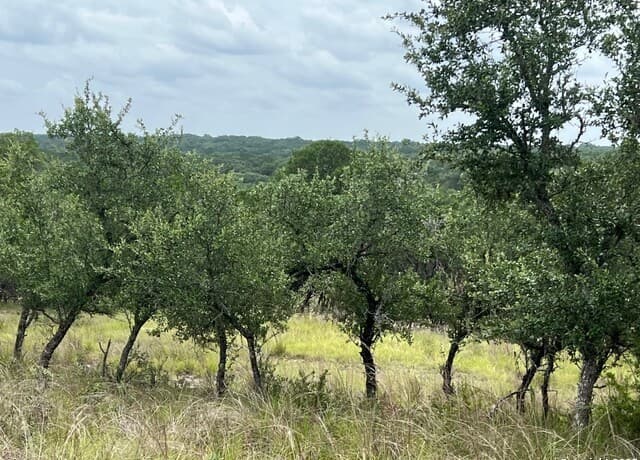 rental at LOT 19 Monterey in Boerne, TX — photo 5