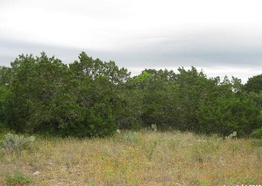 rental at 199 County Road 2733 in Mico, TX — photo 5