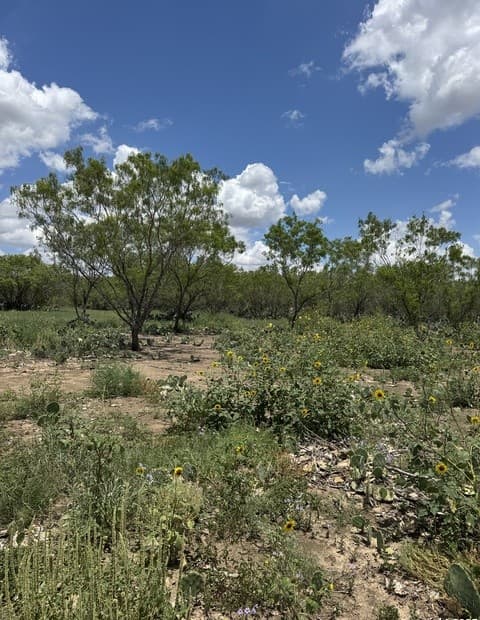 rental at 02 Windmill Ranchettes CR 329 in Jourdanton, TX — photo 2