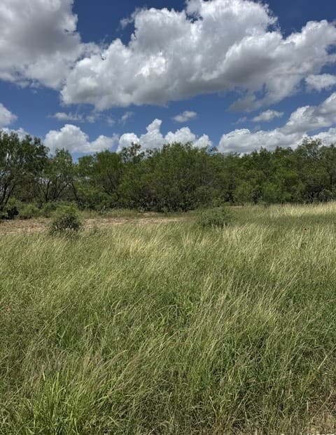 rental at 04 Windmill Ranchettes CR 329 in Jourdanton, TX — photo 2