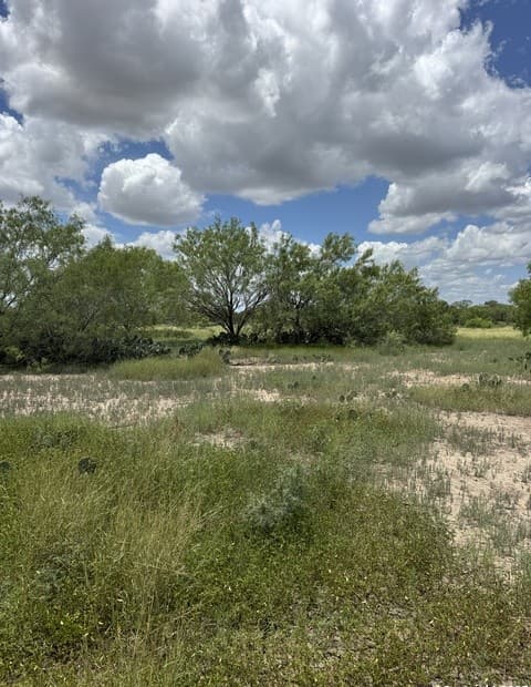 rental at 04 Windmill Ranchettes CR 329 in Jourdanton, TX — photo 4