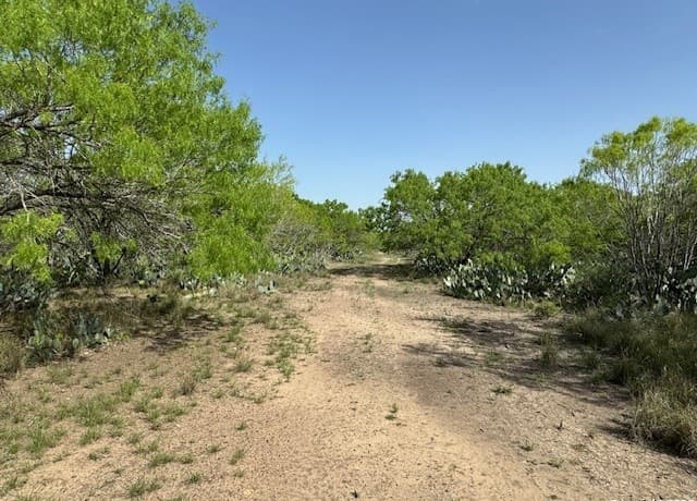 rental at 20 Windmill Ranchettes CR 329 in Jourdanton, TX — photo 1