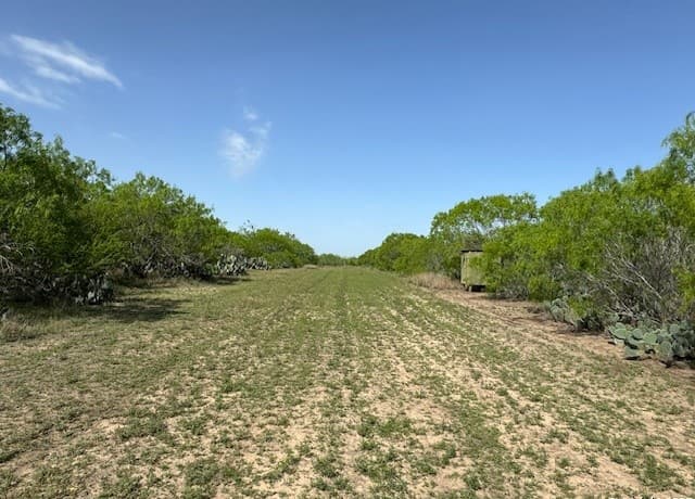 rental at 23 Windmill Ranchettes CR 329 in Jourdanton, TX — photo 2