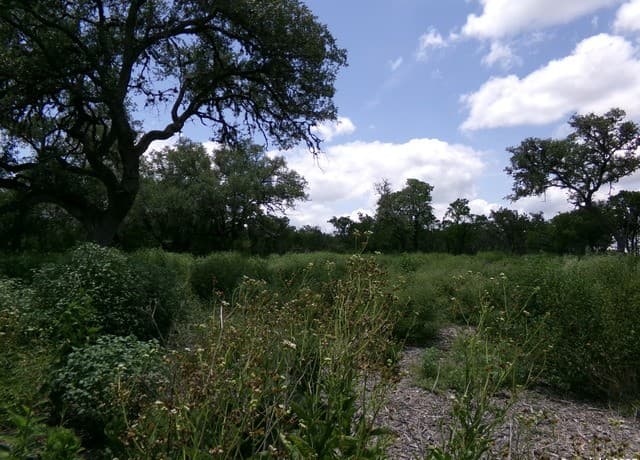rental at 1881 Grand Oaks in Hondo, TX — photo 2