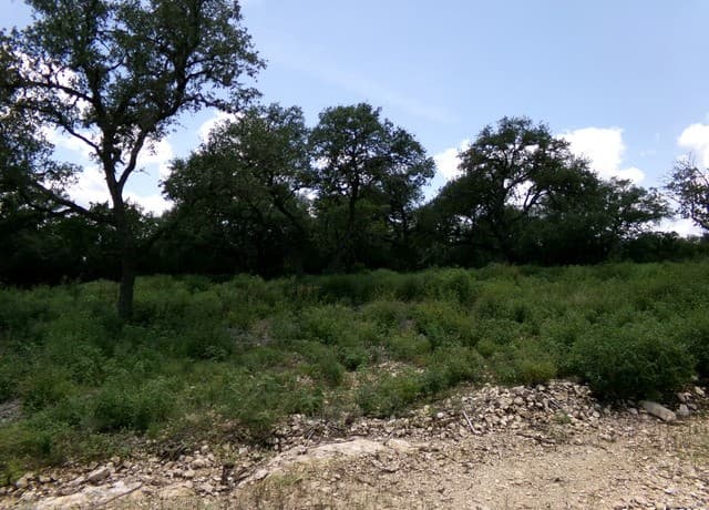 rental at 1881 Grand Oaks in Hondo, TX — photo 3