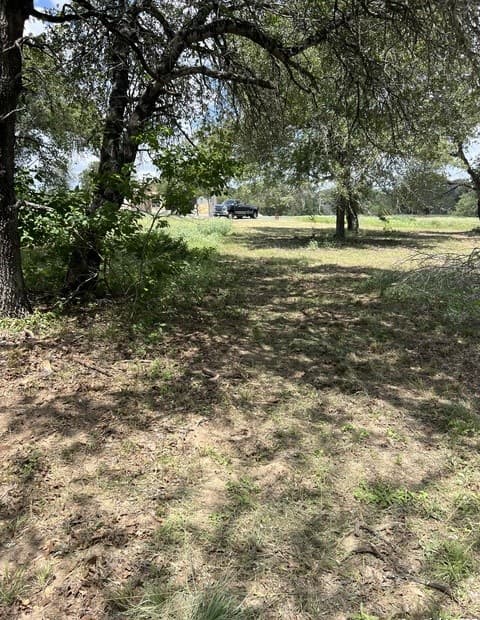 rental at 108 Timber in La Vernia, TX — photo 4