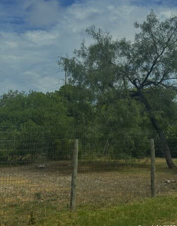 rental at 5103 Cannon in San Antonio, TX — photo 4
