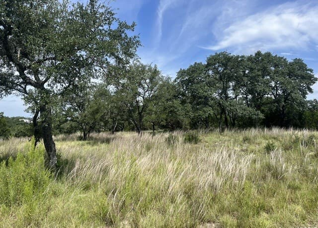 rental at 137 Hill Myna in Spring Branch, TX — photo 2