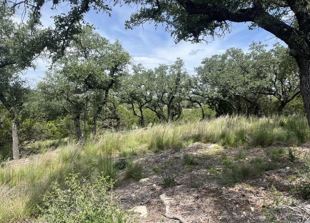 rental at 137 Hill Myna in Spring Branch, TX — photo 5