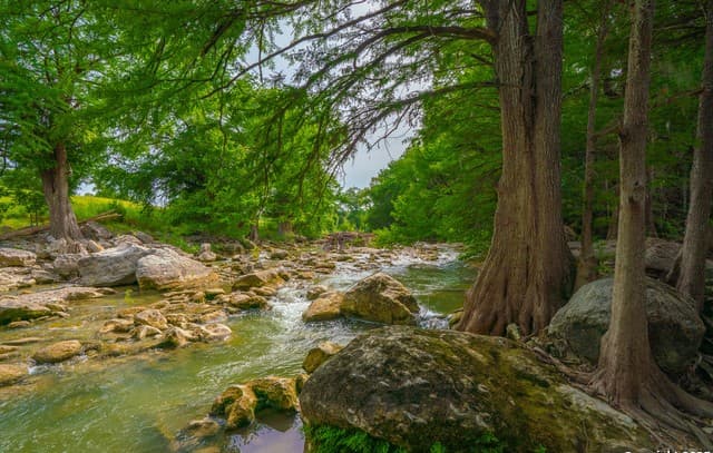 4-bedroom rental at 103 Misty Waters in Boerne, TX — photo 1
