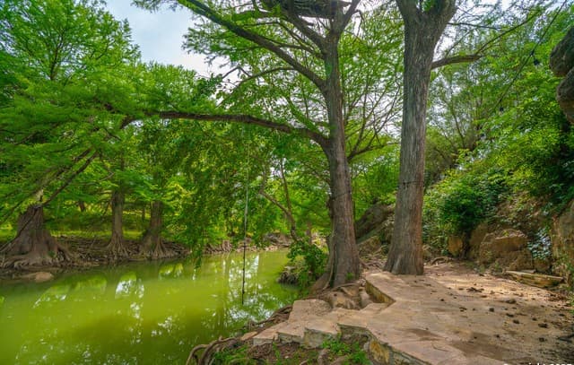 4-bedroom rental at 103 Misty Waters in Boerne, TX — photo 4