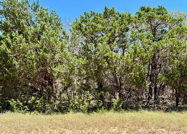 rental at LOT 36-37 Wyatt Earp in Bandera, TX — photo 3