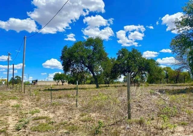 rental at 21272 S Fm 471 in Natalia, TX — photo 3