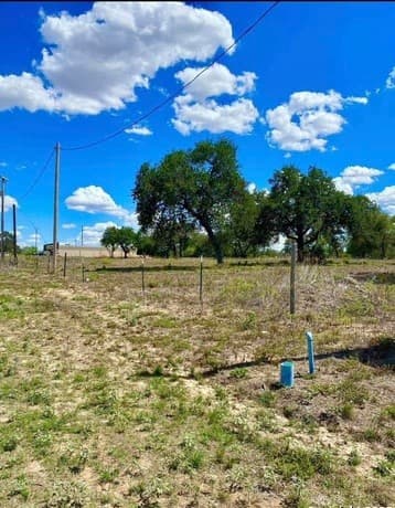 rental at 21272 S Fm 471 in Natalia, TX — photo 4