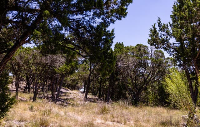 rental at TBD Pr 177 in Helotes, TX — photo 2
